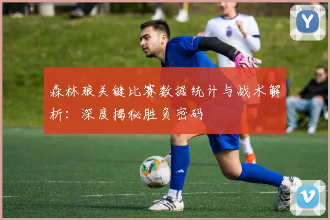 森林狼关键比赛数据统计与战术解析:深度揭秘胜负密码