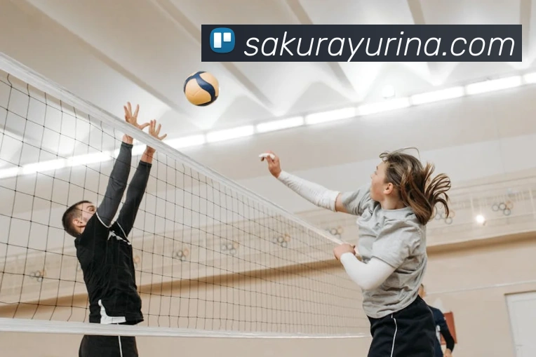 奖项证书